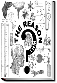 The Reason Why | 